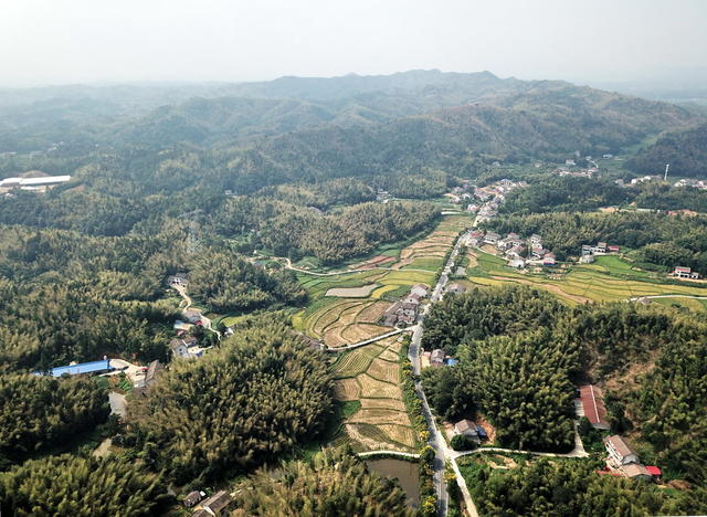 青山口造福囗人民