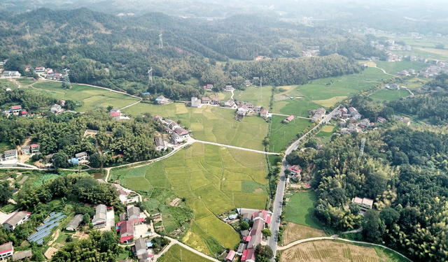 青山口造福囗人民