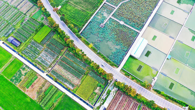 田园  乡村  产业  和美