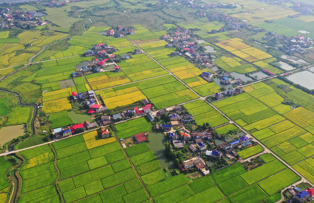 湘乡：产业兴旺  乡村秀美