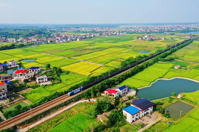 湘乡：产业兴旺  乡村秀美