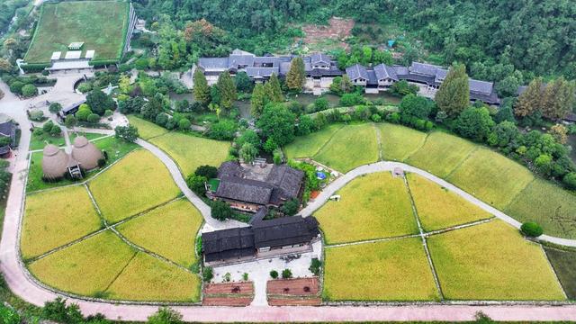 张家界 黄龙洞 舞龙 丰收