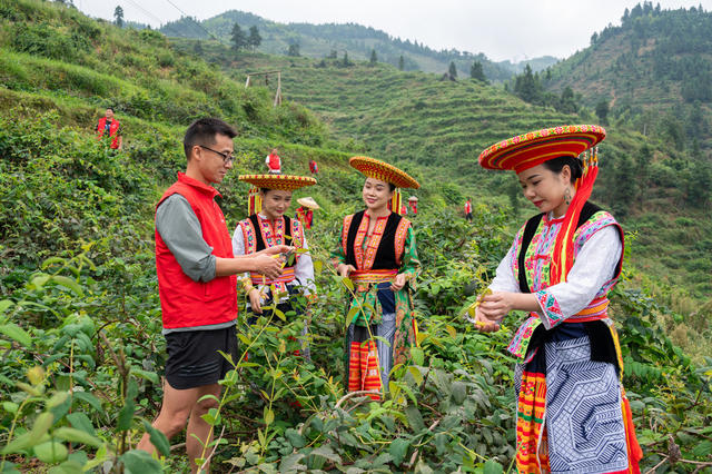 山银花 农民工培训