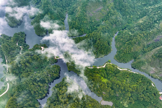 生态 湿地 水库 雾 水清 岸绿 