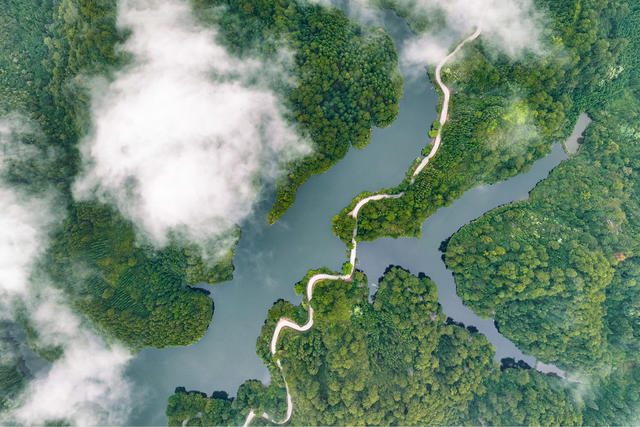 生态 湿地 水库 雾 水清 岸绿 