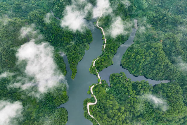 生态 湿地 水库 雾 水清 岸绿 