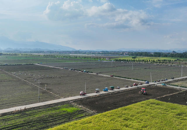 蔬菜基地
道县