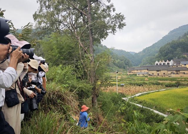 凤凰 千工坪 黄沙坪 古村落  秋色 摄影