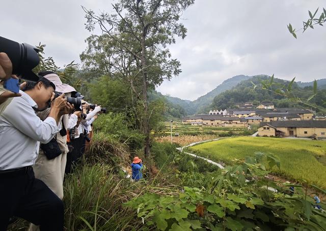 凤凰 千工坪 黄沙坪 古村落  秋色 摄影