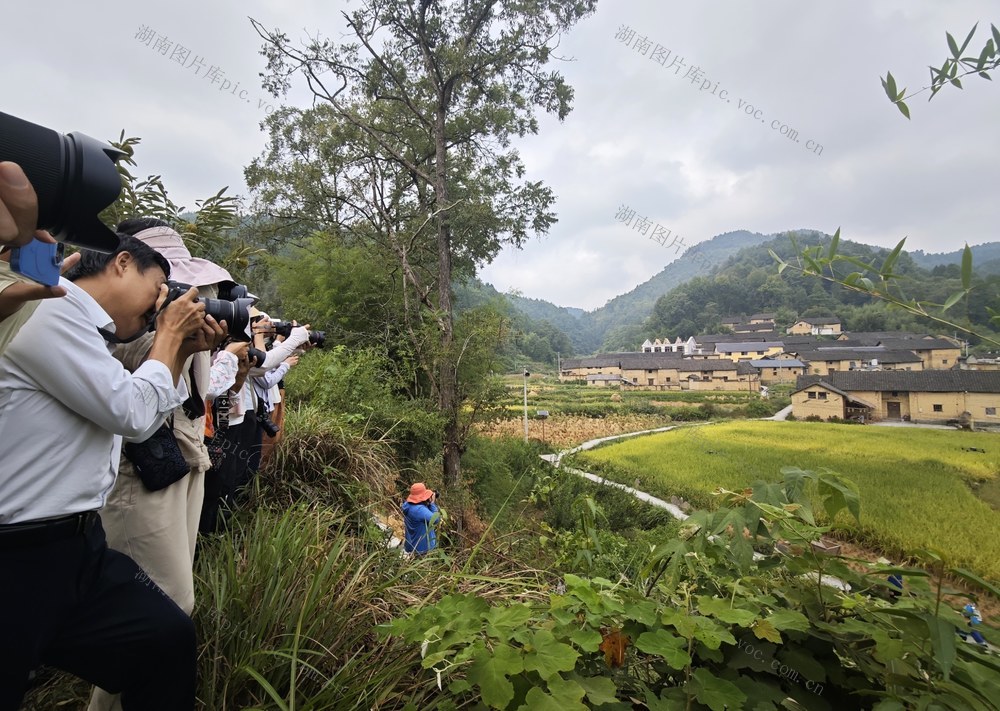 凤凰 千工坪 黄沙坪 古村落  秋色 摄影