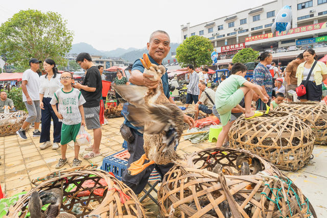 湘西迎来中秋和州庆两大喜庆节日  节庆期间湘西农贸大市场格外兴旺  数千群众在集市交易 