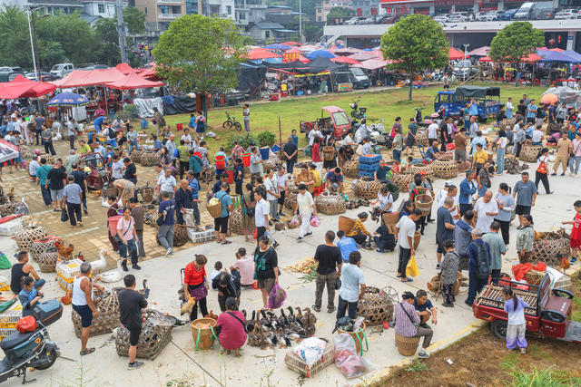 湘西迎来中秋和州庆两大喜庆节日  节庆期间湘西农贸大市场格外兴旺  数千群众在集市交易 
