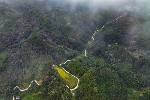路 公路 四好公路 交通 乡村