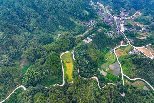 路 公路 四好公路 交通 乡村