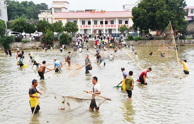  捕鱼节 庆丰收 
