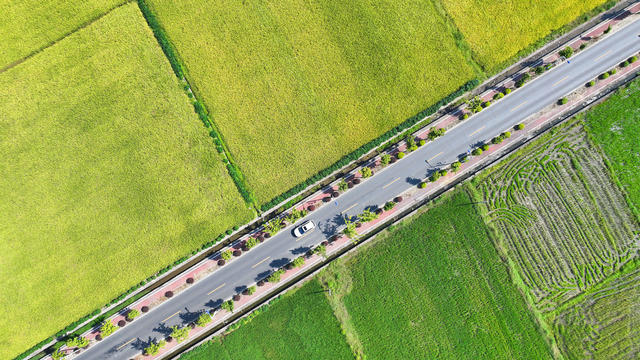 乡村 公路