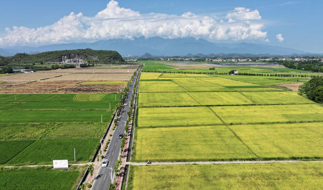 乡村 公路