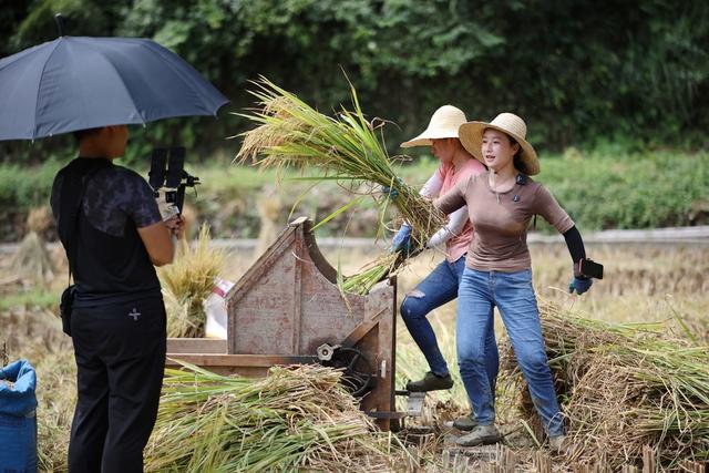 直播、带货、农产品、助农、大米