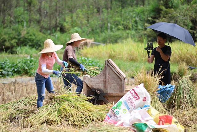 直播、带货、农产品、助农、大米