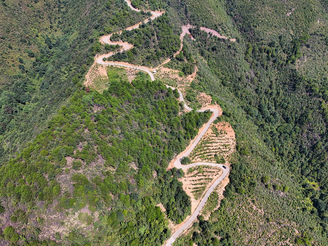 公路  山路  弯弯  致富路  风景  旅游