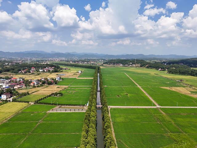 生态  乡村  和美   风景  旅游  自然  景观  