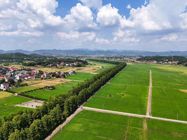 生态  乡村  和美   风景  旅游  自然  景观  