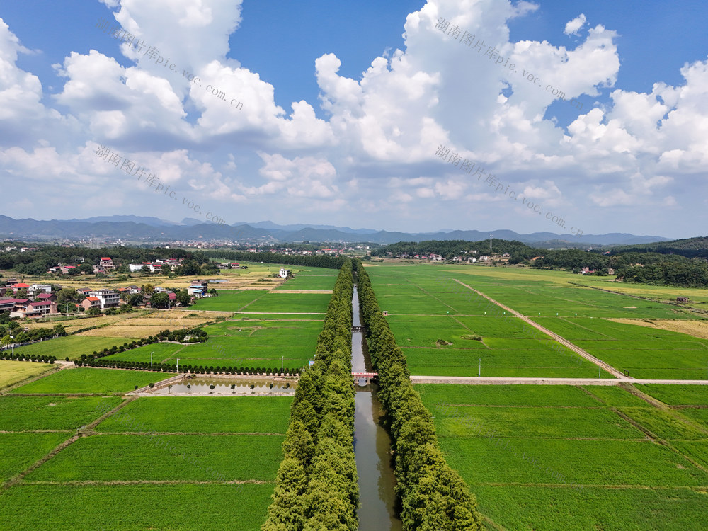 生态  乡村  和美   风景  旅游  自然  景观  