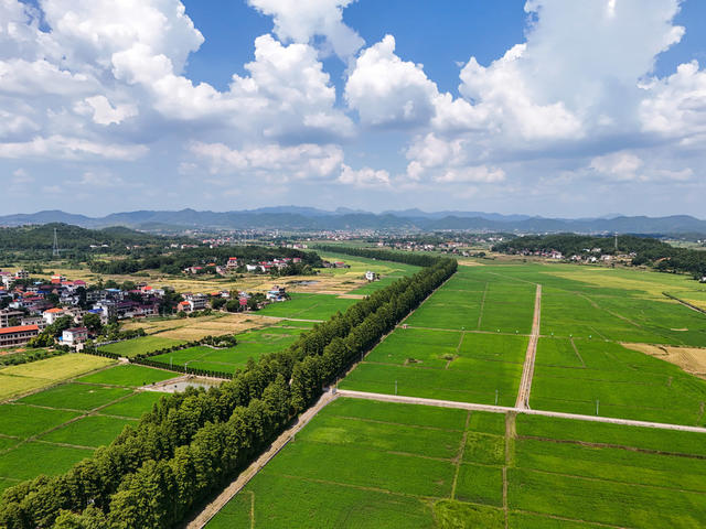 生态  乡村  和美   风景  旅游  自然  景观  