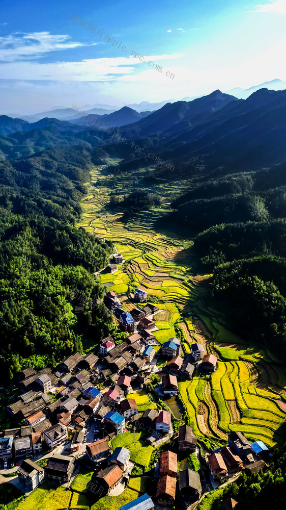 侗寨 秋 梯田 阳光 丰收 美景