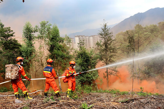 消防 灭火 森林 火灾 演练