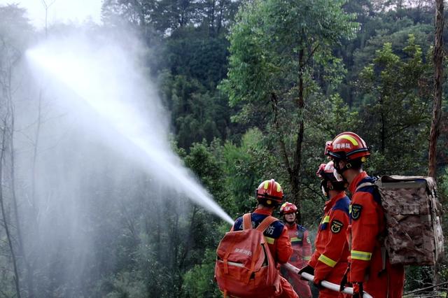 消防 灭火 森林 火灾 演练