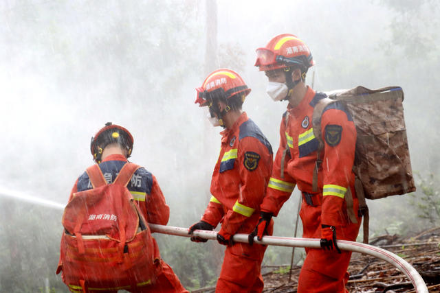 消防 灭火 森林 火灾 演练