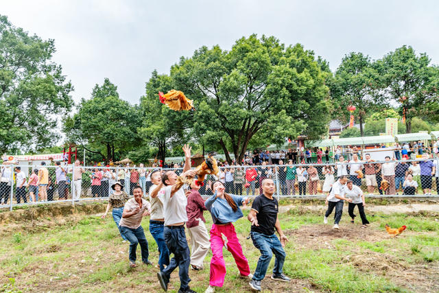 农民丰收节  庆祝活动