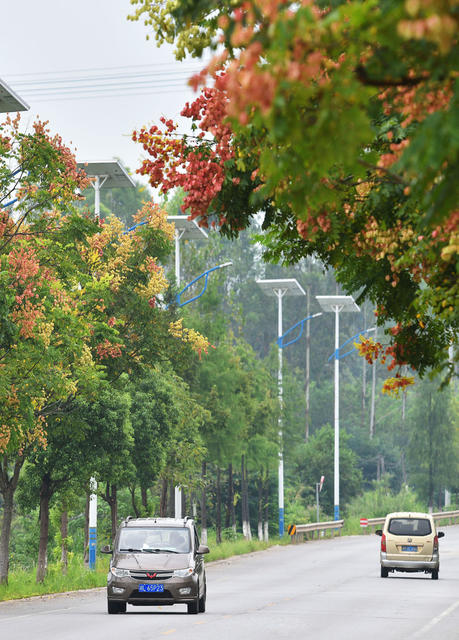 嘉禾：路畅景美