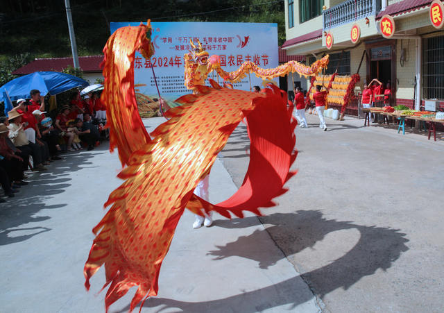 湖南桂东 农民 感党恩 丰收节