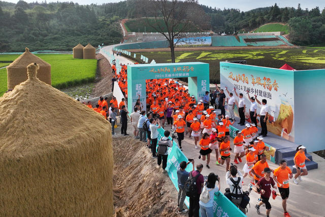 迈步奔跑田野间