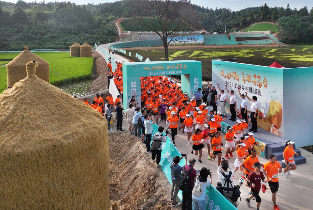 迈步奔跑田野间