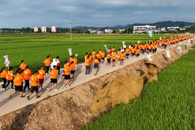 迈步奔跑田野间