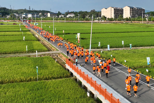 迈步奔跑田野间