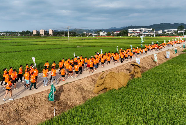 迈步奔跑田野间