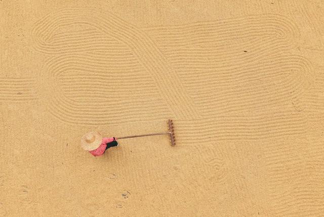 秋分 丰收节 收割 