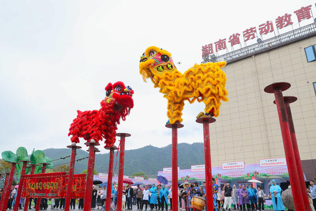 丰收节  庆祝  活动  比赛