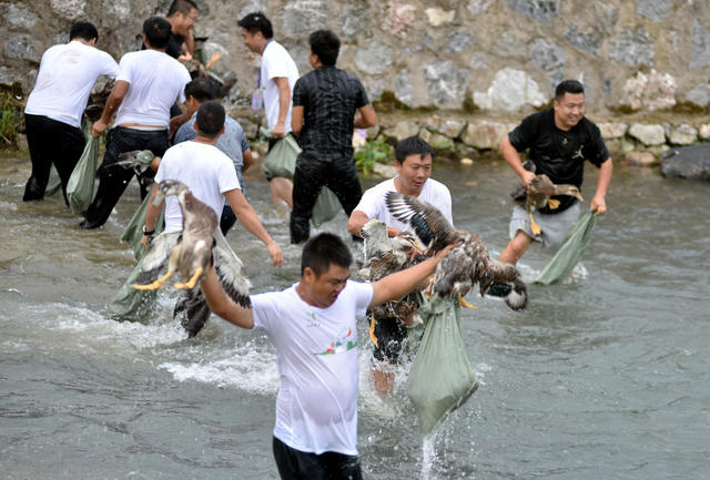 永州：欢庆农民丰收节
