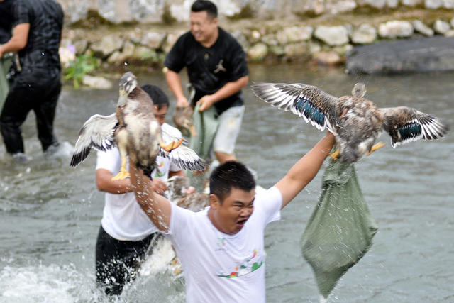 永州：欢庆农民丰收节