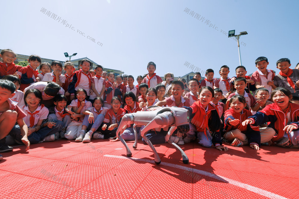 科普  侗族  学生  通道侗族自治县