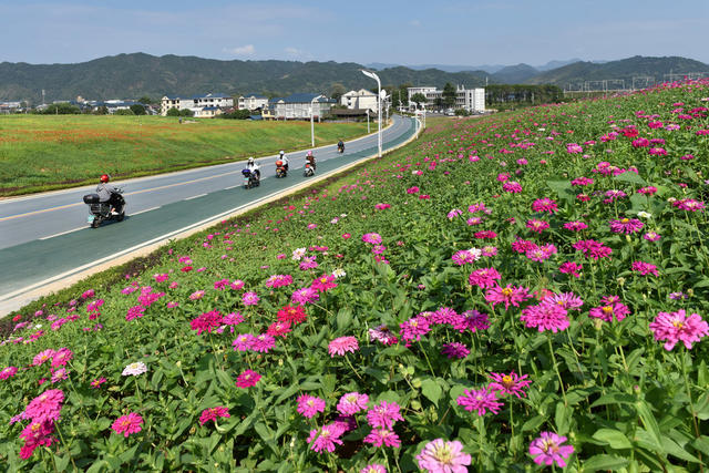  鲜花铺就彩虹路