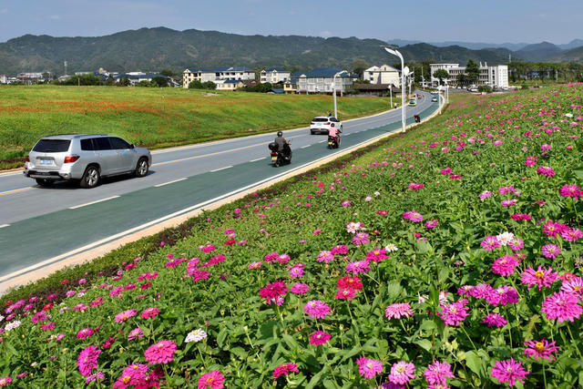  鲜花铺就彩虹路