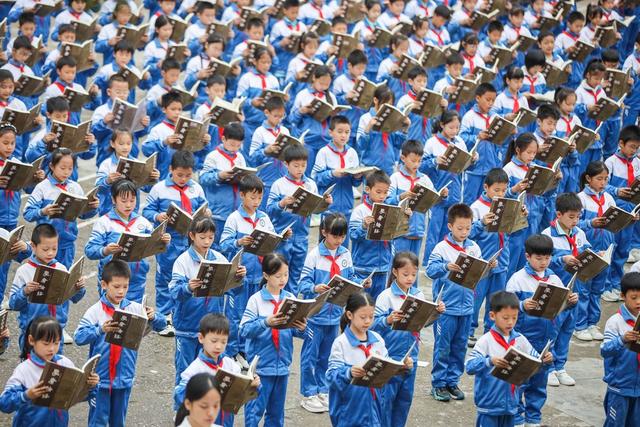 论语 国学 传统文化 孔子 学校 教育 学生