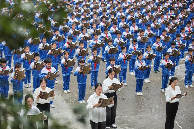 论语 国学 传统文化 孔子 学校 教育 学生