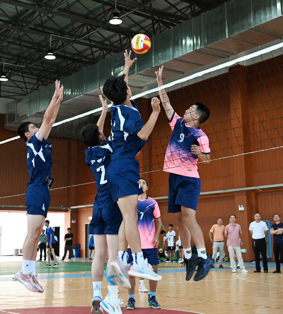 体育 排球  赛  学生 教育 阳光体育 运动 运动场 学校 芙蓉  运动员